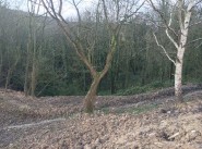 Terrain Le Mesnil Esnard
