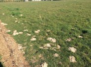 Terrain Saint Saens